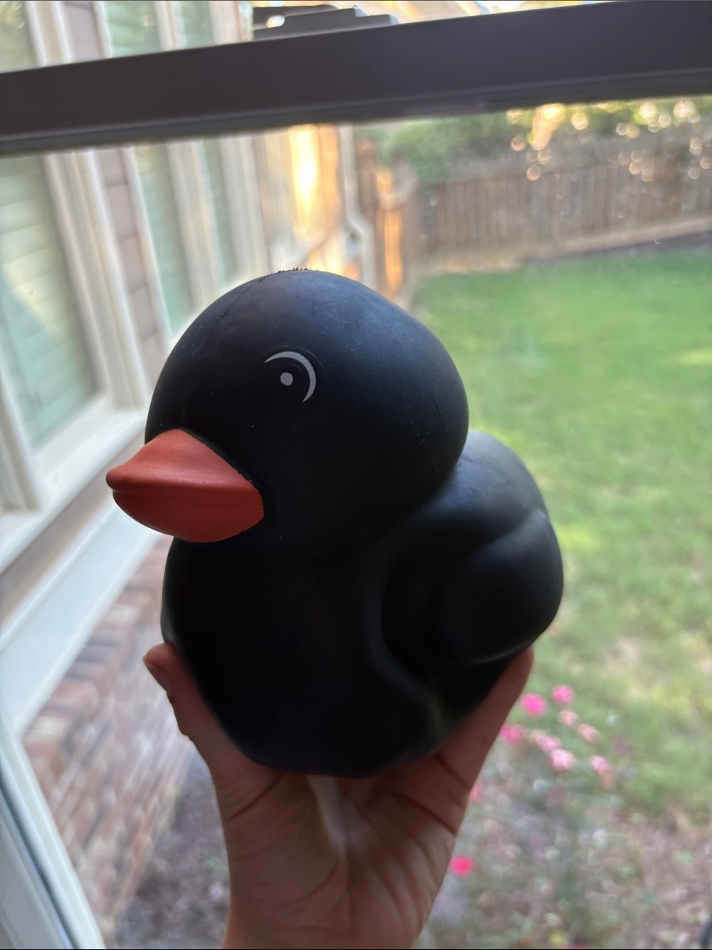Black Rubber Duck Bird Toy with Orange Beak - Enrichment Chew Toy squeezy